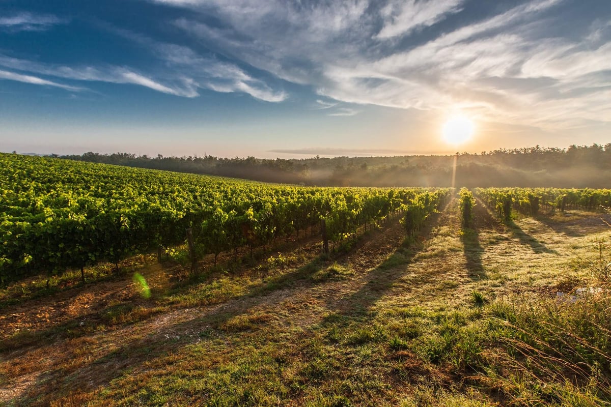 Agricultural Farm with Sunset